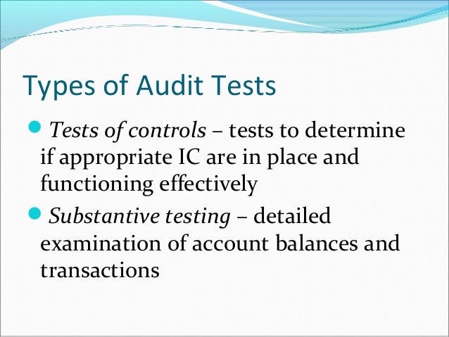 what is test data in audit application control