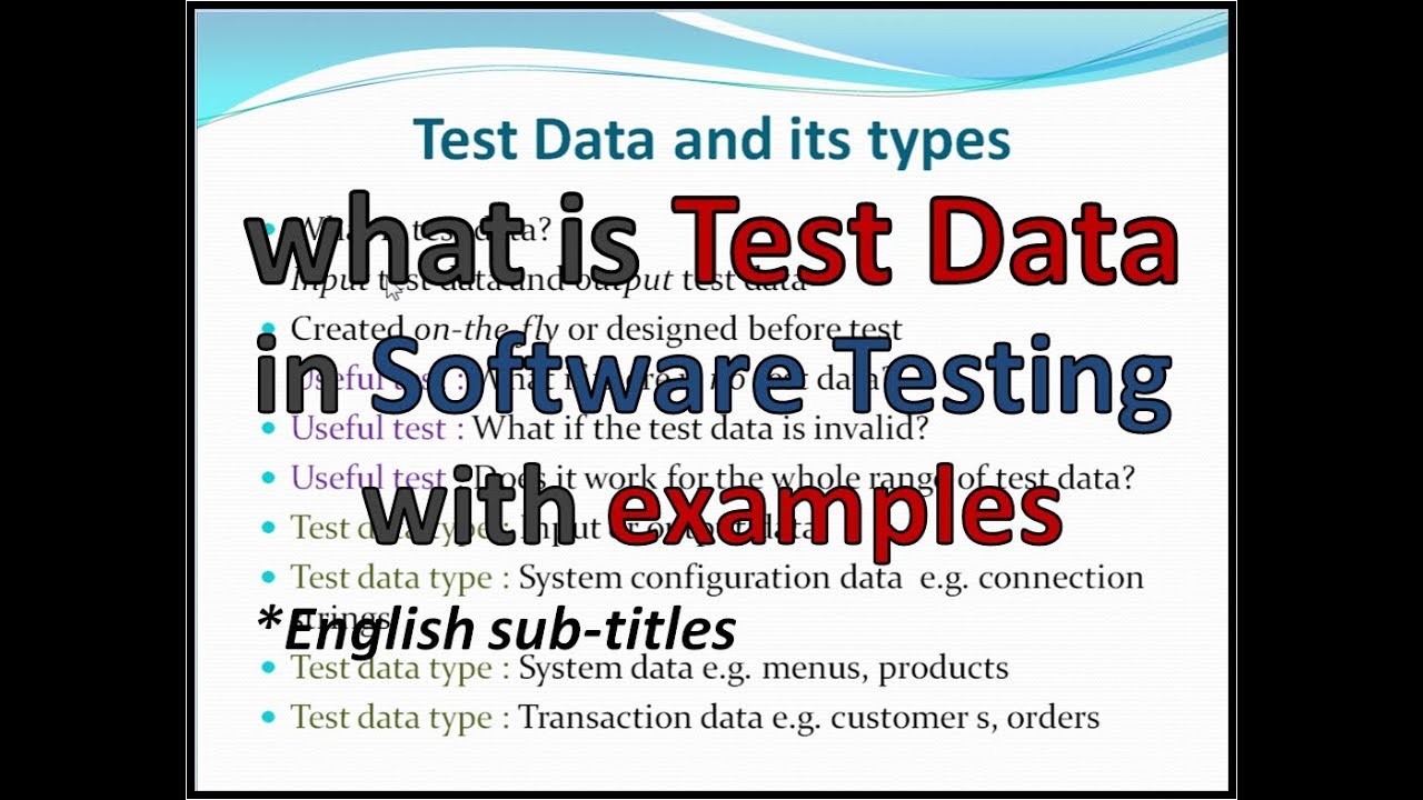 what is test data in audit application control