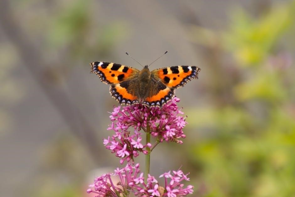 identifier insect eggs identification guide uk