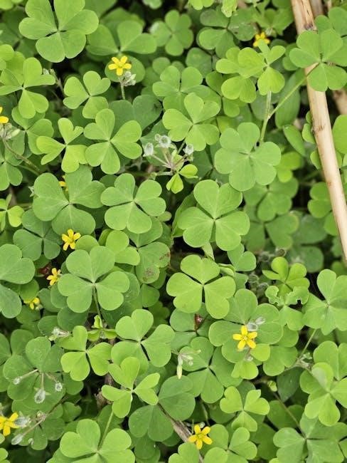 there was an old lady who swallowed a clover pdf